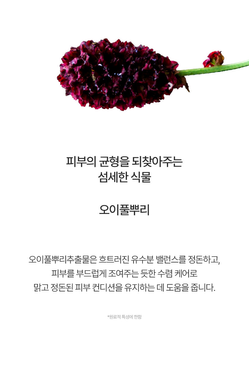 韓國Temporary補骨脂酚毛孔彈潤春青精華30ml 單瓶 — 圖 5