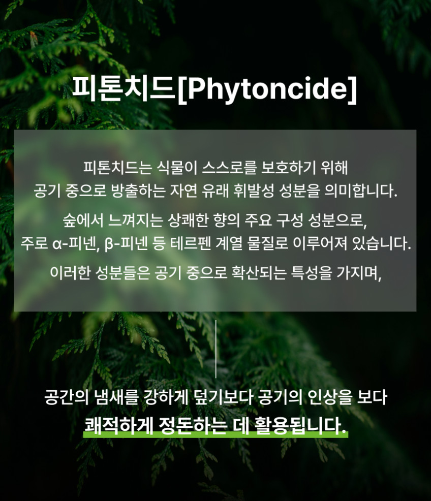 (2包)韓國 Real Pyeonbaek 天然扁柏木芳香塊20g 單包 — 圖 10