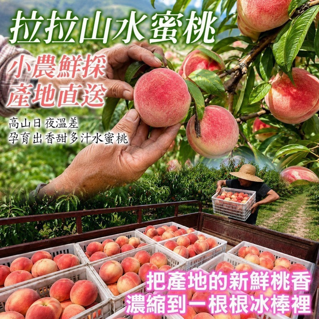 水蜜桃冰棒 85g 一包12支 — 圖 3