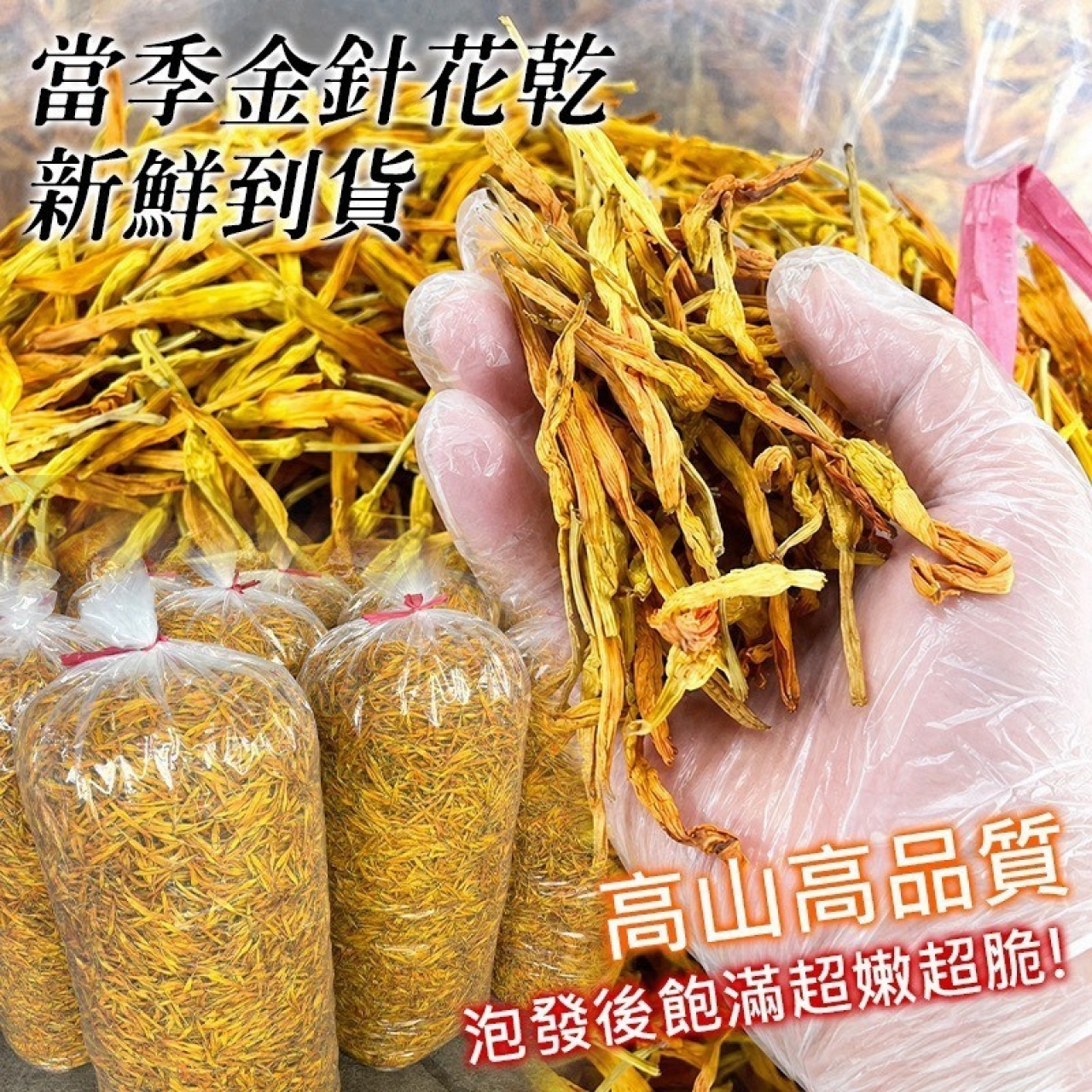 花蓮六十石山 高山金針花乾 — 圖 2