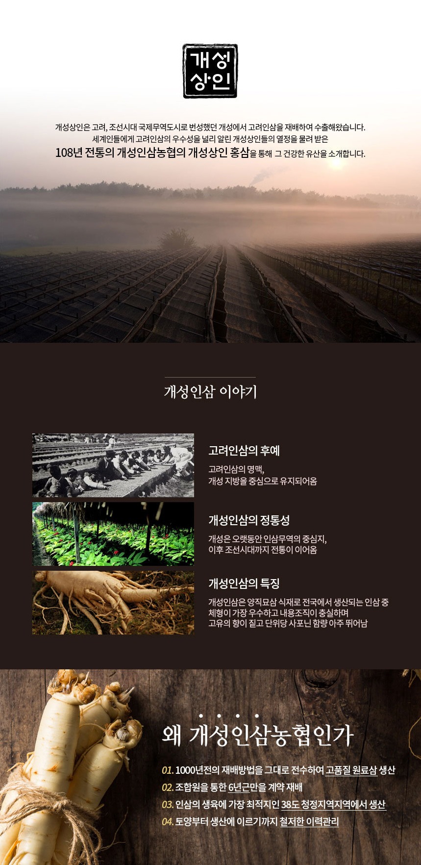 空運團-好體力六年根鹿茸紅蔘液禮盒 10mlx30入 單盒 — 圖 2